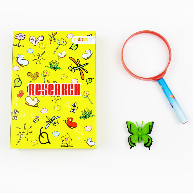 Magnifying glass+butterfly