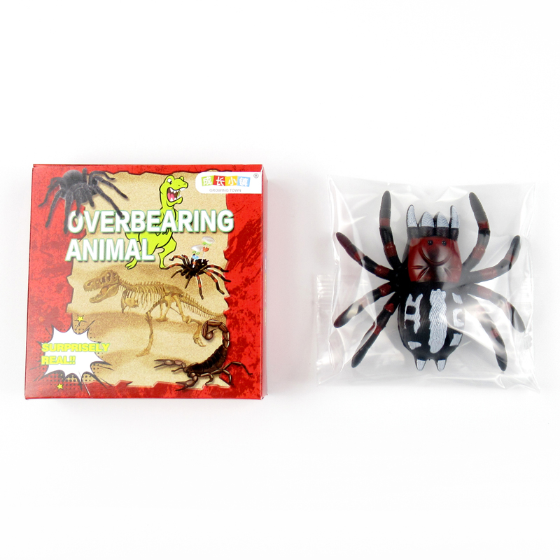 Wall walking spider