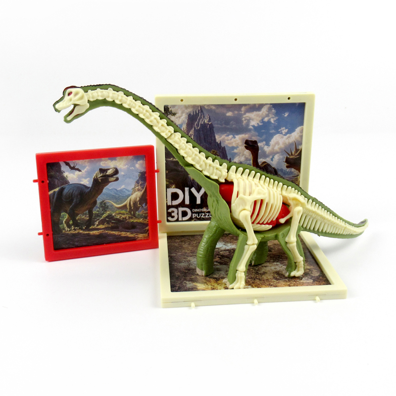 Brachiosaurus  Anatomy